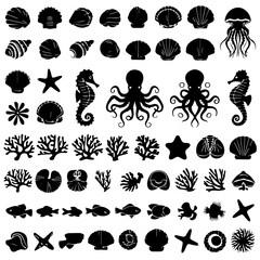 Naklejka premium Large collection of black marine life silhouettes including fish, seashells, starfish, corals, and sea creatures, arranged in neat rows on a white background.