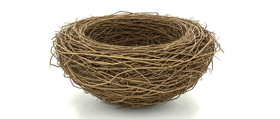empty nest isolated on white