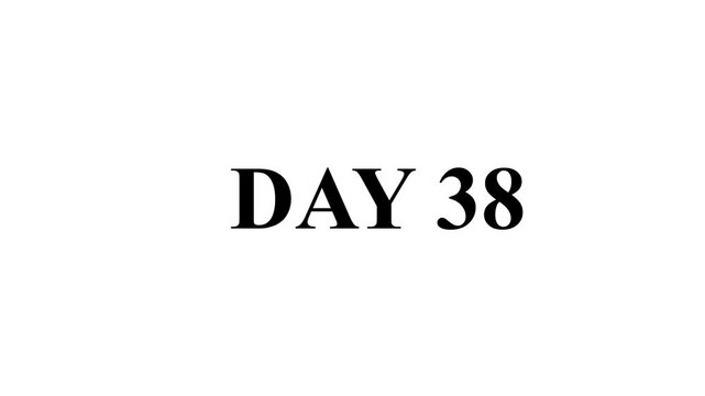 Day 38, 38 Day Text Animation Videos 38 Day To Go black Logo lite Animation Videos. On white Background.  font against a solid white background centered well Count time Motion graphics 4K video