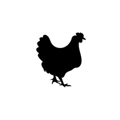 Chicken black silhouettes icon