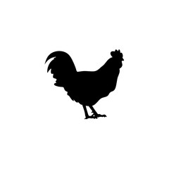 Chicken black silhouettes icon