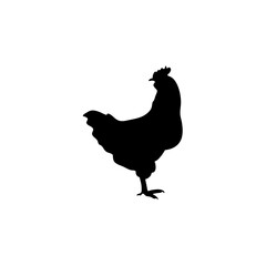 Chicken black silhouettes icon