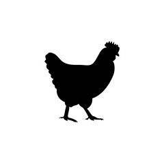 Chicken black silhouettes icon