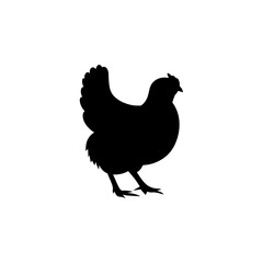 Chicken black silhouettes icon