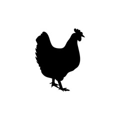 Chicken black silhouettes icon