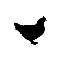 Chicken black silhouettes icon