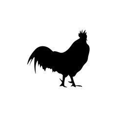 Chicken black silhouettes icon