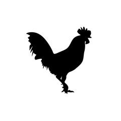 Chicken black silhouettes icon