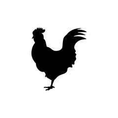 Chicken black silhouettes icon