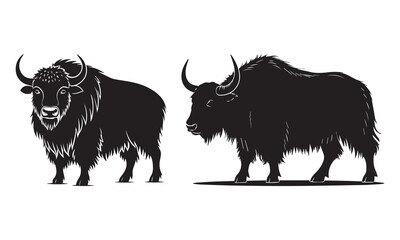 black and white buffalo