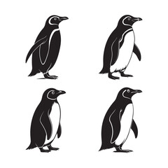 Fototapeta premium penguin silhouettes vector
