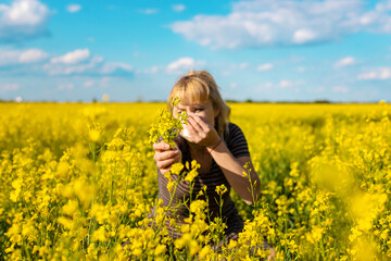 Fototapeta premium Yellow field flowers allergy. Selective focus.