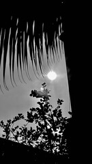 Abstract black and white