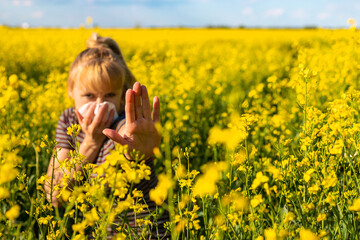 Fototapeta premium Yellow field flowers allergy. Selective focus.