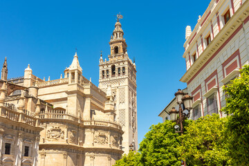 Fototapeta premium Triumph square with Giralda tower of Seville Cathedral, Spain