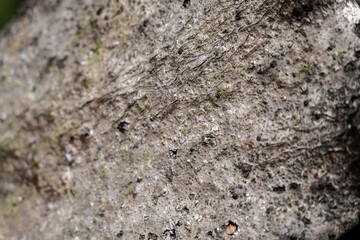 Natural stone granite wall-floor. Seamless texture. Perfect tiled on all sides. Stone. Rock floor. Rock wall