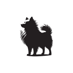 Majestic Icelandic Sheepdog silhouette vector featuring a fluffy double coat, curled tail, pointed ears, alert expression, and sturdy stance—perfect for Nordic dog lovers and graphic design projects.
