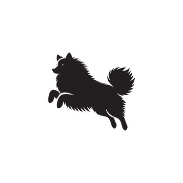 Majestic Icelandic Sheepdog silhouette vector featuring a fluffy double coat, curled tail, pointed ears, alert expression, and sturdy stance&mdash;perfect for Nordic dog lovers and graphic design projects.
