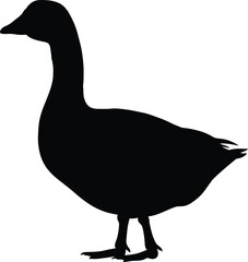 Minimalist Black Silhouette of Waterfowl Duck in High Contrast Vector Style

