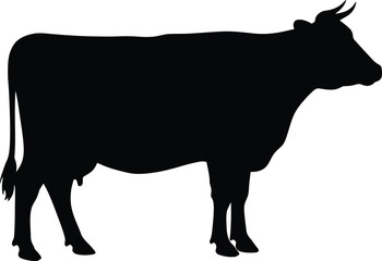 Large Black Cow Silhouette Profile Distinctive Hump Horns Dark Background Minimalist

