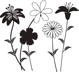 Beautiful Flower Isolated on White Background – High-Resolution Floral Image