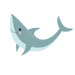 Cute shark. Isolated element on white background. Selachii