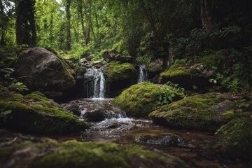waterfall in the forest
