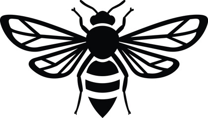 Bee Insect Wings Black and White Detailed High Contrast Vector Art

