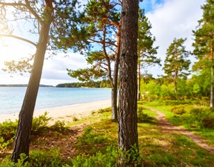 tree on the beach