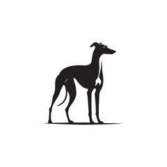 Italian Greyhound Dog Silhouette Vector – A sleek, elegant outline capturing the breed’s slender frame, arched back, and graceful stance, perfect for artistic, pet-themed design projects.
