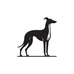 Italian Greyhound Dog Silhouette Vector – A sleek, elegant outline capturing the breed’s slender frame, arched back, and graceful stance, perfect for artistic, pet-themed design projects.
