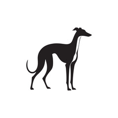 Italian Greyhound Dog Silhouette Vector – A sleek, elegant outline capturing the breed’s slender frame, arched back, and graceful stance, perfect for artistic, pet-themed design projects.
