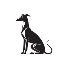 Italian Greyhound Dog Silhouette Vector – A sleek, elegant outline capturing the breed’s slender frame, arched back, and graceful stance, perfect for artistic, pet-themed design projects.

