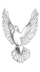 Obraz premium Stylized dove bird hand drawn art high resolution picture