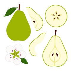 Pear Fruit Hand Drawn Vector. Including Pear Half, Slices, Seeds,  and Flower Blossom