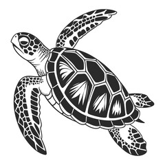 A set of  simple black and white illustration of a sea turtle viewed from above. The turtle has a detailed shell with geometric patterns, flippers extended, and a textured head.
