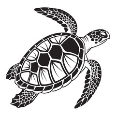 Obraz premium A set of simple black and white illustration of a sea turtle viewed from above. The turtle has a detailed shell with geometric patterns, flippers extended, and a textured head.