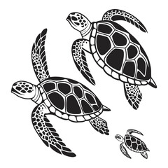 A set of  simple black and white illustration of a sea turtle viewed from above. The turtle has a detailed shell with geometric patterns, flippers extended, and a textured head.