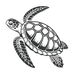 A set of  simple black and white illustration of a sea turtle viewed from above. The turtle has a detailed shell with geometric patterns, flippers extended, and a textured head.