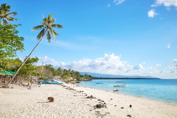 Tropical beach with palm tree and turquoise sea, perfect summer vacation concept.
