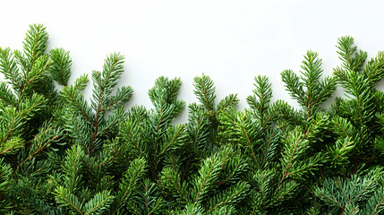 A fiery, network-like cloud formation glows intensely against a dark.