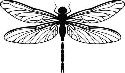 Hyper realistic detailed black and white line art dragonfly illustration with intricate wing structure

