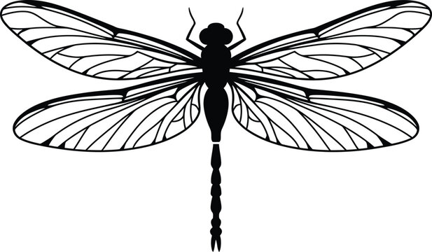 Hyper realistic detailed black and white line art dragonfly illustration with intricate wing structure

