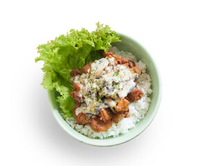 Isolated Delicious Bowl of Rice Topped With Crispy Chicken and Creamy Mushroom Sauce Served With Fresh Lettuce