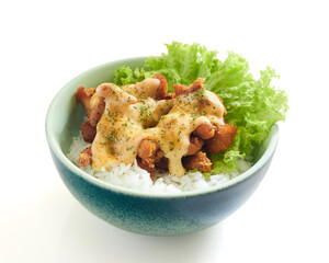 Isolated Delicious Bowl of Fried Chicken With Spicy Mayo on Rice With Lettuce and Creamy Sauce Served in a Colorful Dish