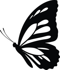 Black butterfly vector illustration with delicate feather and leaf elements, a symbolic nature drawing