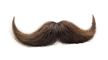mustache transparent background png