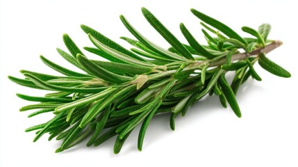 Fototapeta premium A 4K photo of fresh Rosemary Sprig Isolated on White - Aromatic herb, culinary ingredient, cooking, Mediterranean cuisine, natural fragrance.