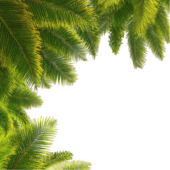 Tropical leaf frame. Lush green palm fronds