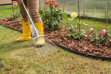 A woman in yellow rubber boots rakes dry grass from a green lawn next to a flower bed mulched with...